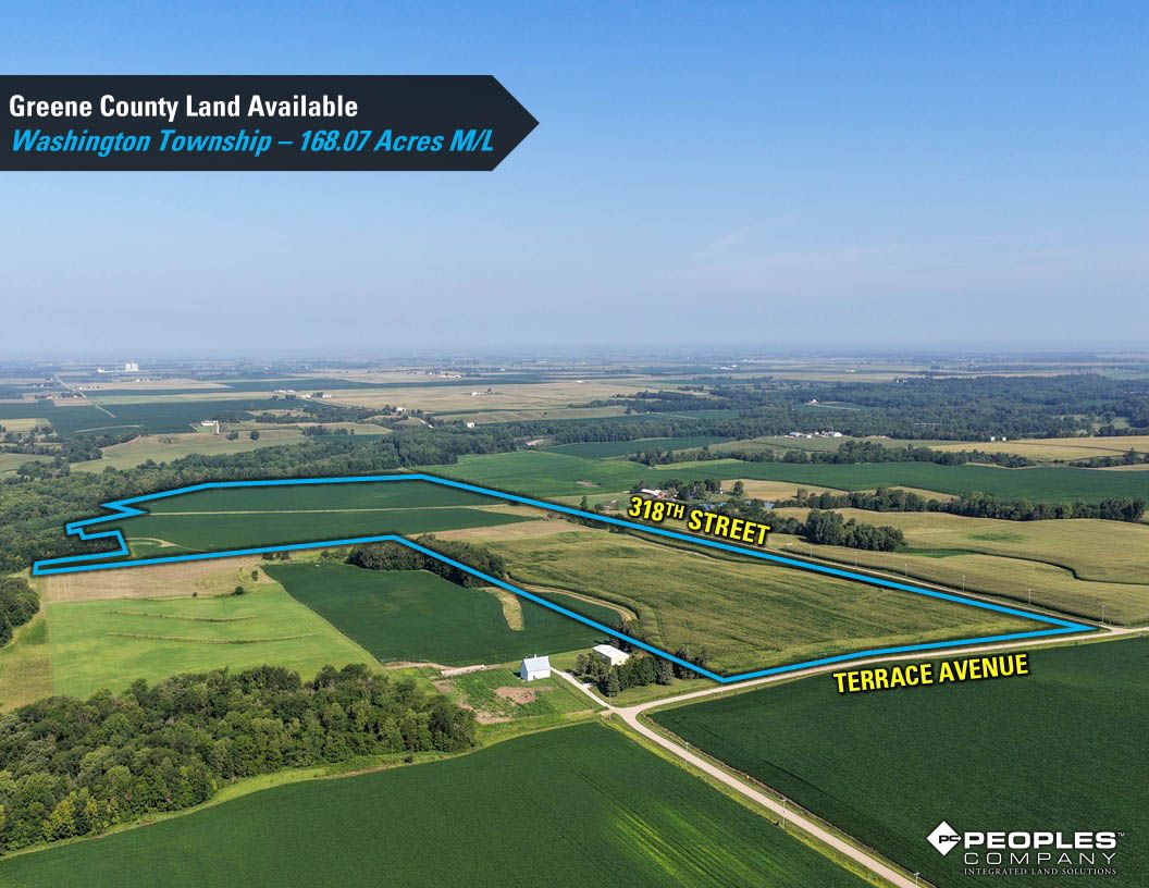 Listing Photo: Greene-County-Land-Available-168-Acres-19616 (22)